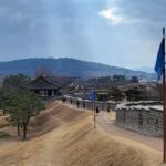 Seoul: Suwon Hwaseong and exotic food Private Chartered Tour - Practical Considerations and Value