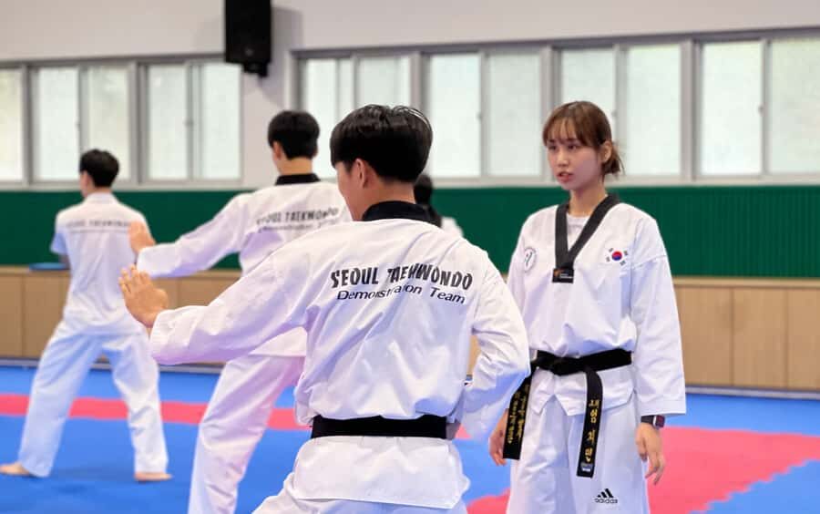 Seoul: Taekwondo Experience with National Champion - Final Thoughts