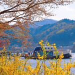 Seoul to/from Nami Island: Round trip Shuttle Bus Service - Detailed Breakdown of the Experience