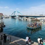 Seoul to Hyangho Beach Mt Seorak Abai Village Tour - Why This Tour Offers Great Value