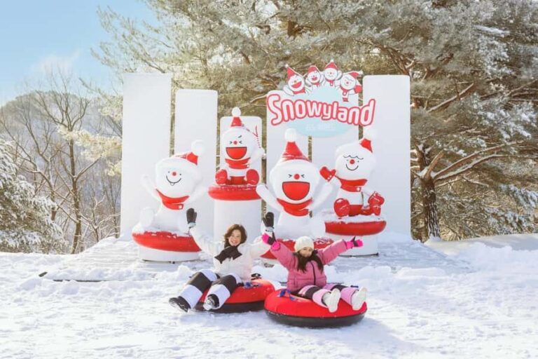 Seoul: Vivaldi Park Tickets for Snowyland Access, Shuttle - Detailed Breakdown of the Itinerary