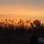 Seoul Winter Sunrise New Year Morning Experience - What Reviewers Say