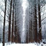 Seoul: Winter Wonder, Mt. Seorak & Nami island & Eobi Valley - The Mountain Majesty of Seoraksan