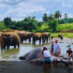 Serenity Escape Sri Lanka 5 Day Eco Friendly Private Tour - Why You’ll Love This Tour