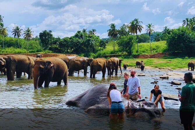 Serenity Escape Sri Lanka 5 Day Eco Friendly Private Tour - Why You’ll Love This Tour