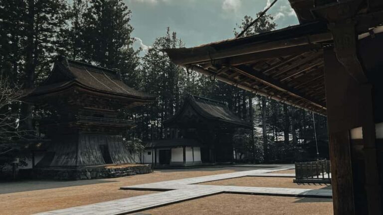 Serenity & Sacred Sites: Koyasan Full-Day Guided Walk - Practical Details and Why They Matter