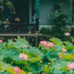 Shanghai: 7-Day Private Tour with Suzhou & Nanjing - The Breakdown of the 7-Day Itinerary