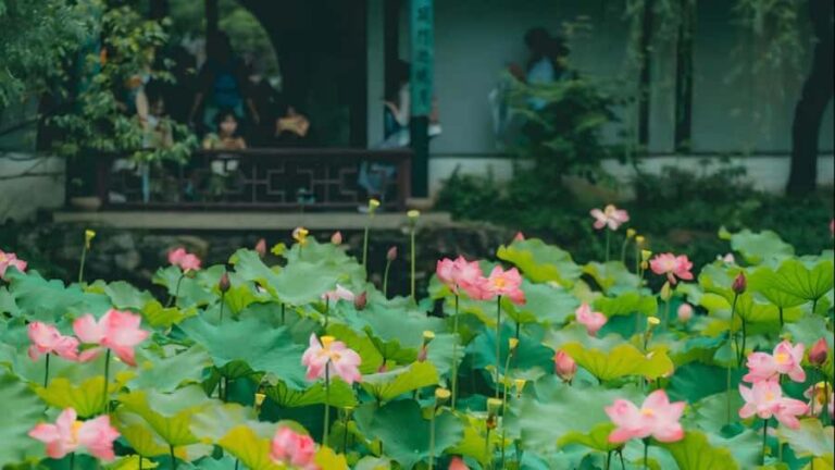 Shanghai: 7-Day Private Tour with Suzhou & Nanjing - The Breakdown of the 7-Day Itinerary