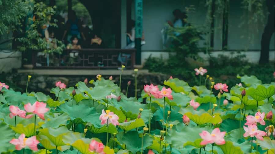 Shanghai: 7-Day Private Tour with Suzhou & Nanjing - The Breakdown of the 7-Day Itinerary