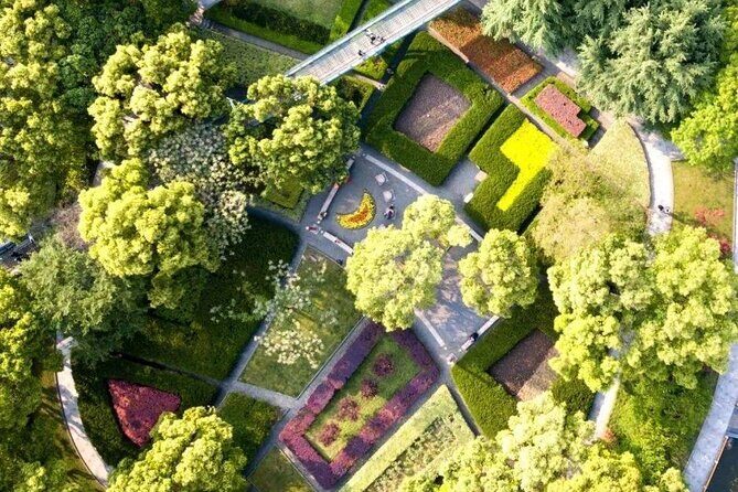 Shanghai Cultural Walking Tour to Xujiahui the Cradle of Haipai - Stop 4 & 5: Shanghai Xujiahui Library — "The Boundless Exchange of Words" & Open the Blind Box!