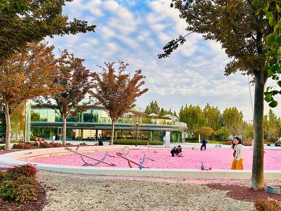 Shanghai Half-Day Bike Tour along East Bank of Huangpu River - The Experience and What You’ll Get