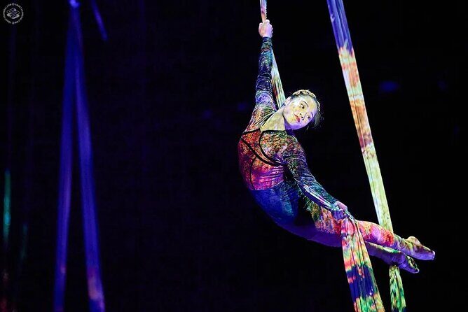 Shanghai Must-See Acrobatics Show with Private Transfer - Final Thoughts: Who Should Consider This Tour?