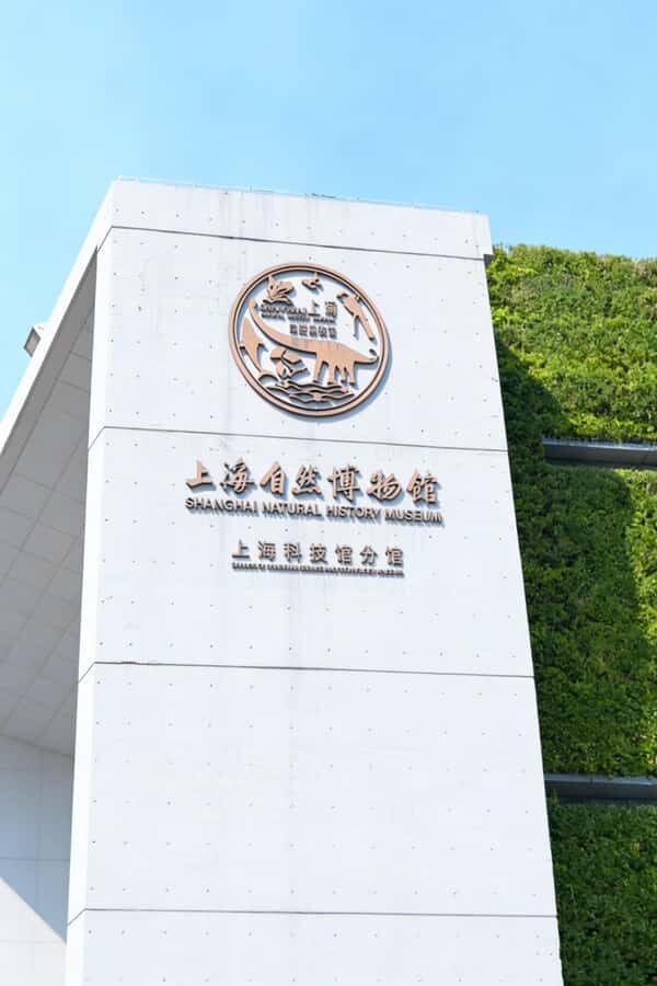 Shanghai Natural History Museum Entry Ticket - Final Thoughts