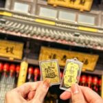 Shanghai to Chongming: Ecology, Culture & Hands-on Tour - A Detailed Look at the Chongming Island Tour