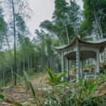 Shanghai to Hangzhou Tofu Ancient Road Hiking Tour by Train - Exploring the Itinerary in Detail