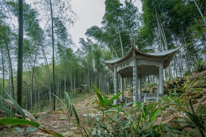 Shanghai to Hangzhou Tofu Ancient Road Hiking Tour by Train - Exploring the Itinerary in Detail