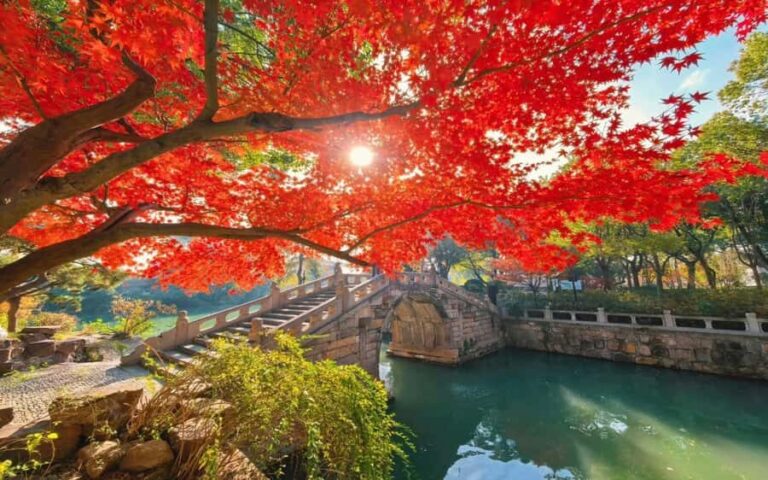 Shanghai to Suzhou One Day Private Tour with Bullet Train - Who Is This Tour Best For?