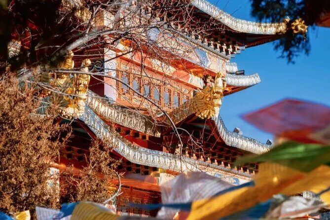 Shangri-La Day Tour Songzanlin Monastery and Napa Sea - What’s Included and What’s Not