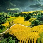Shared 2 days and 1 night Sapa Trekking Adventure - Day 2: Mountain Treks and Cultural Encounters