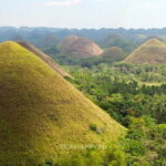 Shared Bohol Countryside Highlights Tour - Final Thoughts