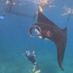 Shared Snorkeling 3-4 spot manta bay in Nusa Penida - Detailed Breakdown of the Itinerary