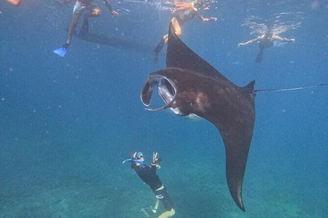 Shared Snorkeling 3-4 spot manta bay in Nusa Penida - Detailed Breakdown of the Itinerary