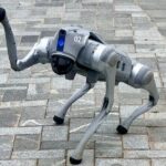 Shenzhen 0.5 or 1 Day: "Tech Focus Tour" or "Culture+Tech Tour" - Practical Details and Considerations