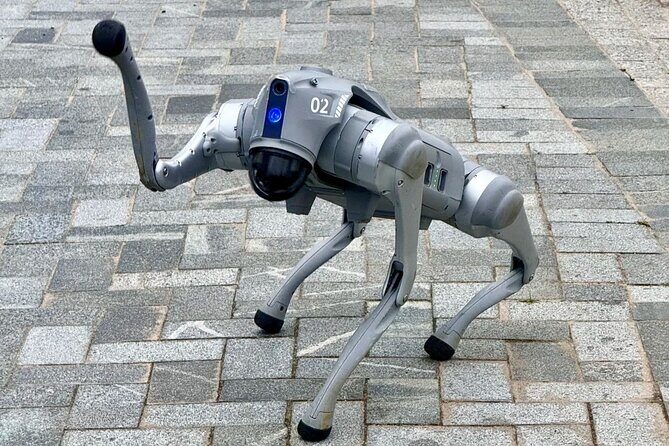 Shenzhen 0.5 or 1 Day: "Tech Focus Tour" or "Culture+Tech Tour" - Practical Details and Considerations