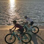 Shenzhen: Bay Park and Talent Park Guided Bike Tour - Coastal Bliss: Cycling Along the Shenzhen Bay Coastal Leisure Belt