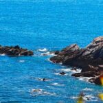 Shenzhen: Dapeng Coast Hiking Adventure with Ocean Views - A Closer Look at the Details