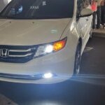 Shenzhen Int Airport (SZX) to Shenzhen - Arrival Private Transfer - Detailed Breakdown of the Experience