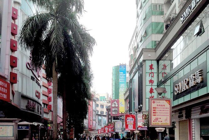 Shenzhen Private Departure Transfer: Hotel to Railway Station - Who Would Enjoy This Service Most?