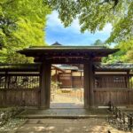 Shibuya: E-Bike Tour of Tokyo's Most Expensive Neighborhood - The Experience in Detail