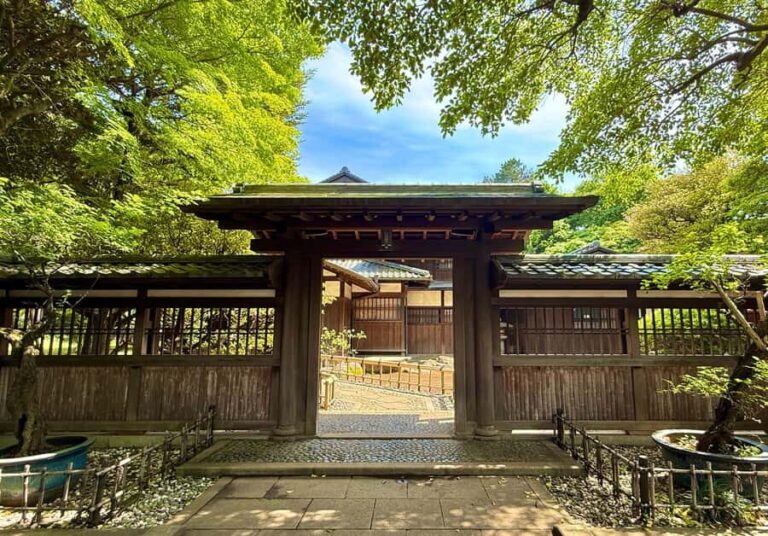 Shibuya: E-Bike Tour of Tokyo's Most Expensive Neighborhood - The Experience in Detail