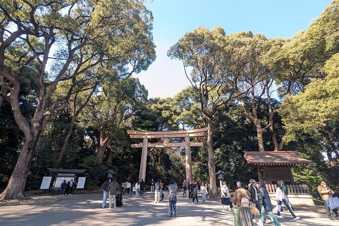 Shibuya Highlights Hachiko Scramble Meiji Jingu and Sky - Frequently Asked Questions