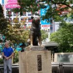 Shibuya Walking Tour in Anime, Fashion stores and Shrine in Tokyo - Practical Details and What Travelers Should Know
