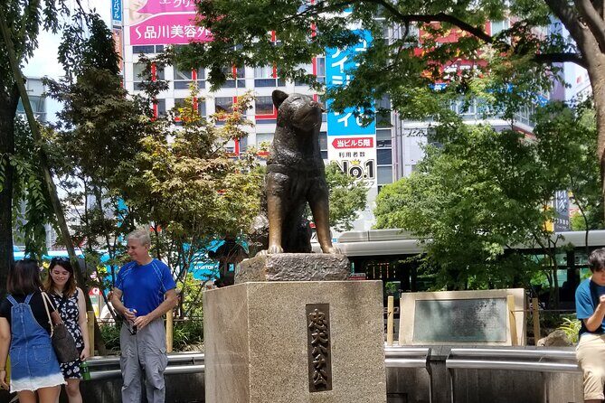 Shibuya Walking Tour in Anime, Fashion stores and Shrine in Tokyo - Practical Details and What Travelers Should Know