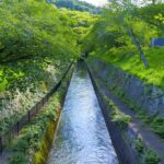 Shiga: Discover Otsus History, Culture, and Faith on Foot - The Art of Otsu-e: Pop Art of the Edo Period