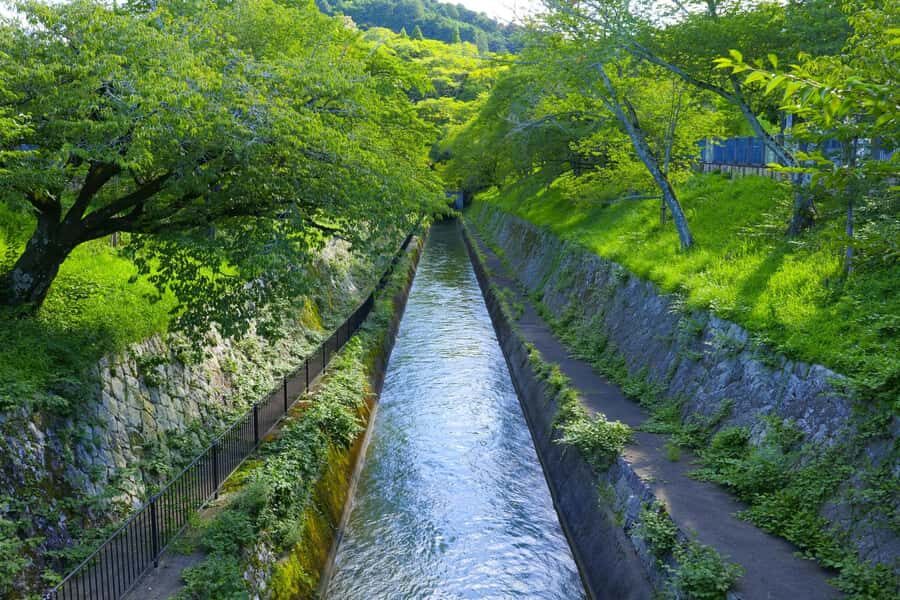 Shiga: Discover Otsus History, Culture, and Faith on Foot - The Art of Otsu-e: Pop Art of the Edo Period