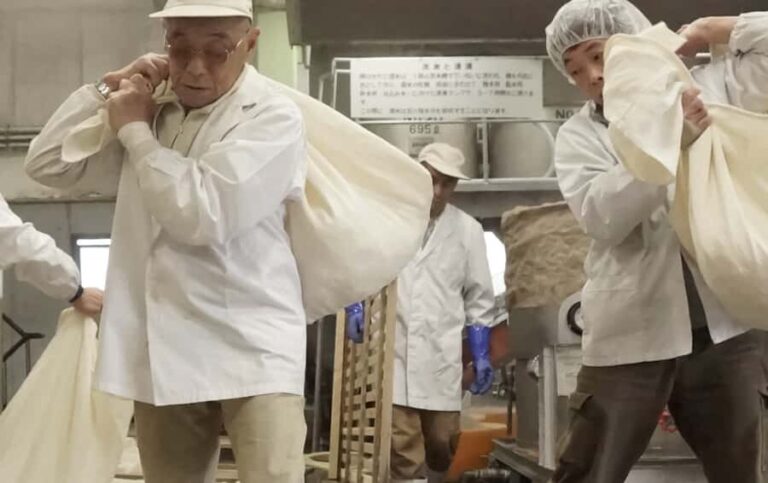 Shiga: Kitajima Sake Brewery Tour with Tasting - Who Would Love This Tour?