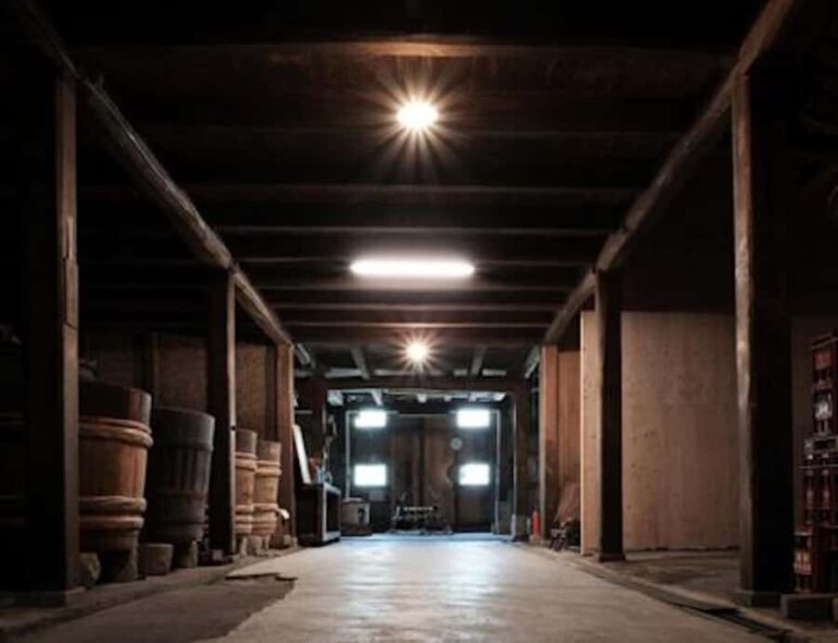 Shiga:Fujii Honke Sake Brewery Tour & Tasting Optional Meals - A Closer Look at the Brewery Tour & Tasting Experience