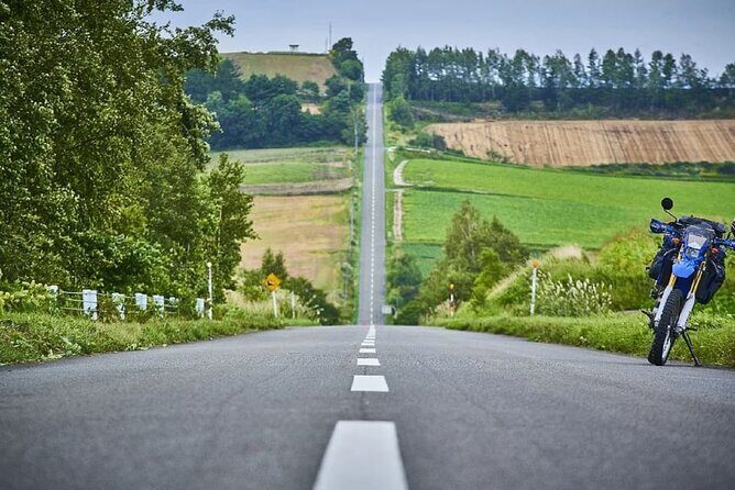 Shikisai-no-Oka Fairy Terrace Tour, optional lunch from Sapporo - Authentic Insights from Past Travelers