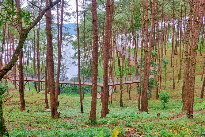 Shillong Nature Walk (3 Hours Guided Trekking Experience) - Exploring Shillong’s Landmarks