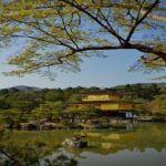 Shimizu: Kyoto Private Custom Day Tour with English guide - Who Would Love This Tour?