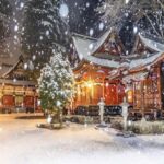 Shimizu: Nagano full-day Private Tour - Practical Details — What to Expect