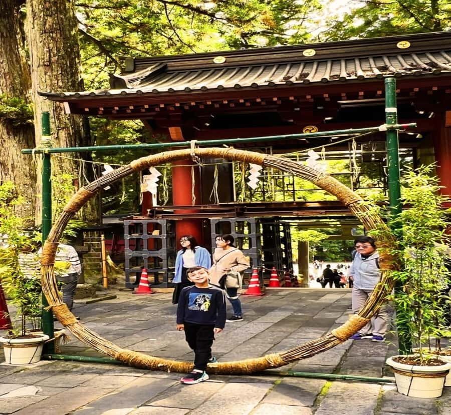 Shimizu: Nikko Private Historical & Spiritual full-day Tour - Travel Details and Practical Tips