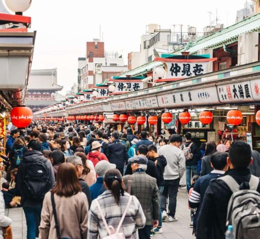 Shimizu: Tokyo Private Day Trip with Guide - Transportation, Timing, and Practical Details