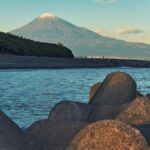 Shizuoka: 10-hour Private Tour & Japanese Tea - What to Expect from This Tour