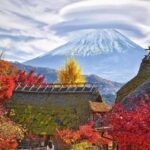 Shizuoka: Mount Fuji & Hakone Private Day Trip - Practical Details That Matter