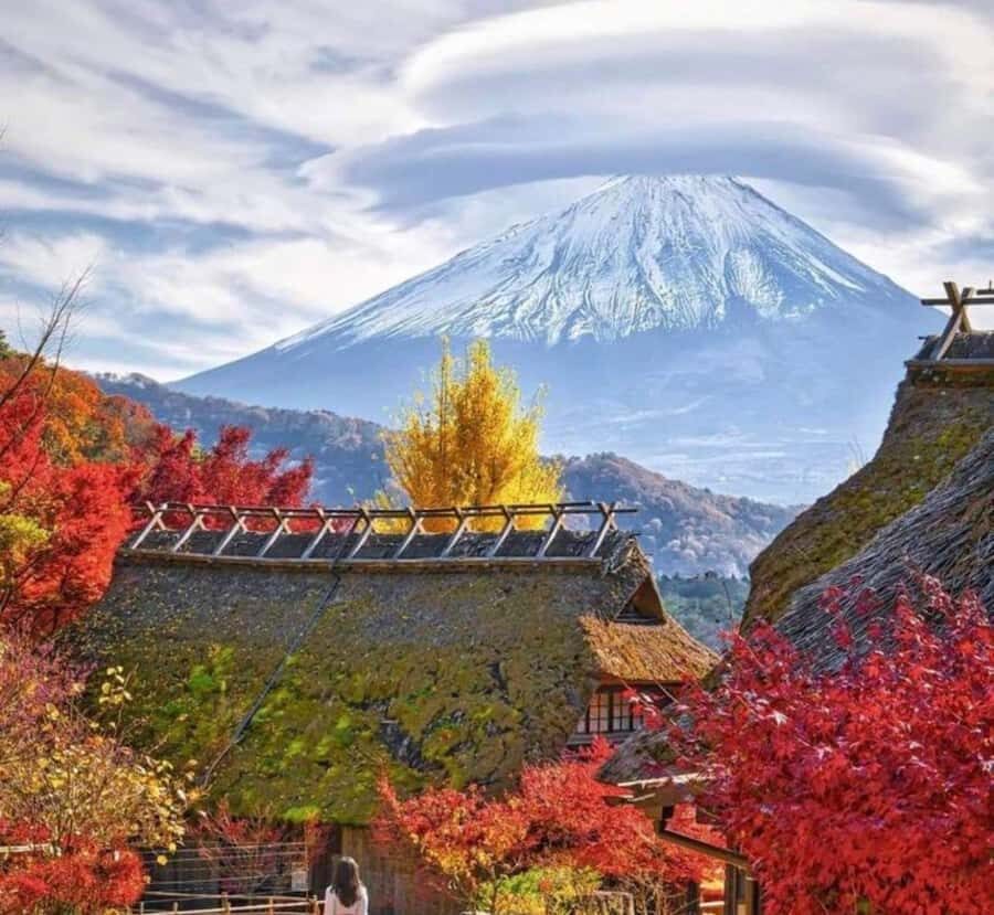 Shizuoka: Mount Fuji & Hakone Private Day Trip - Practical Details That Matter